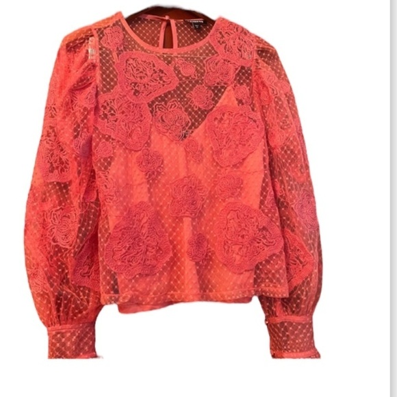 Express Sheer Lace Tank Pink Sz XS Long Sleeve Button Cuffs - Picture 2 of 8